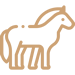 Escursioni a cavallo